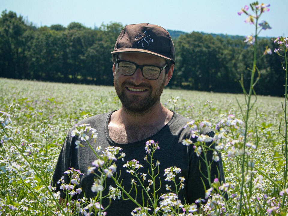 Morgan Scale in cover crop field portrait