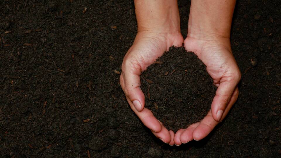 Soil in palm of hands